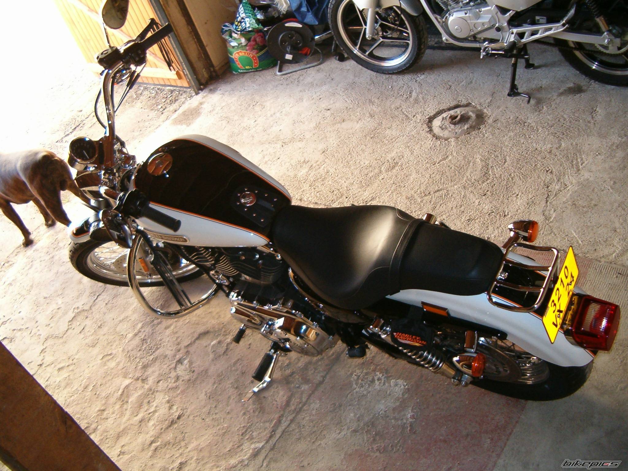 Photo 593896