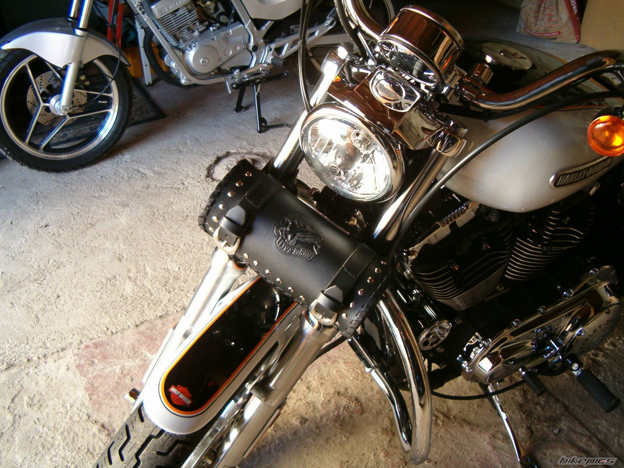 Photo 593902
