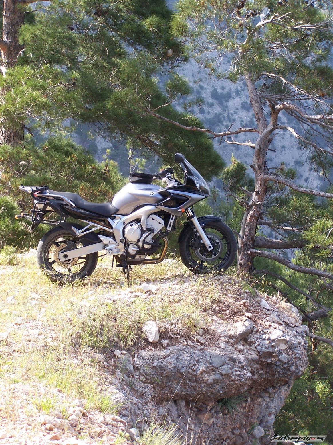 Bike Photo 594238