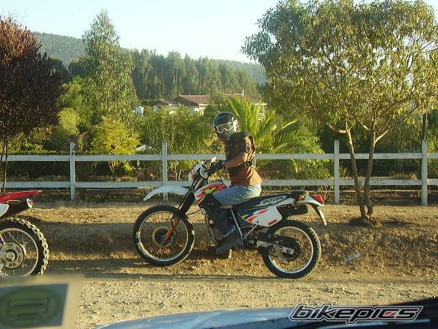 Bike Photo 594271
