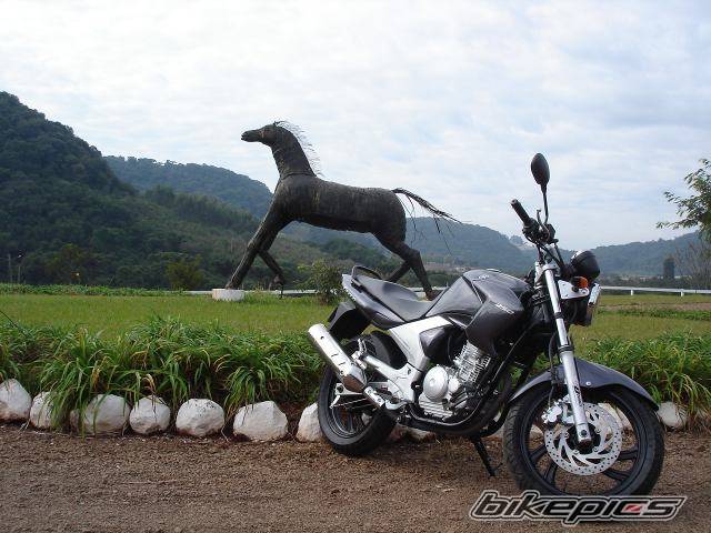 Bike Photo 594686