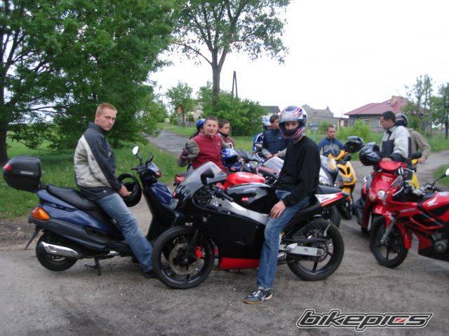 Photo 594943