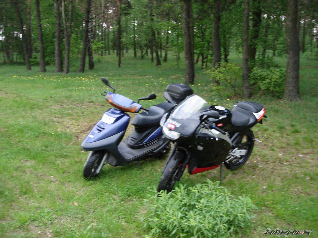Photo 594965