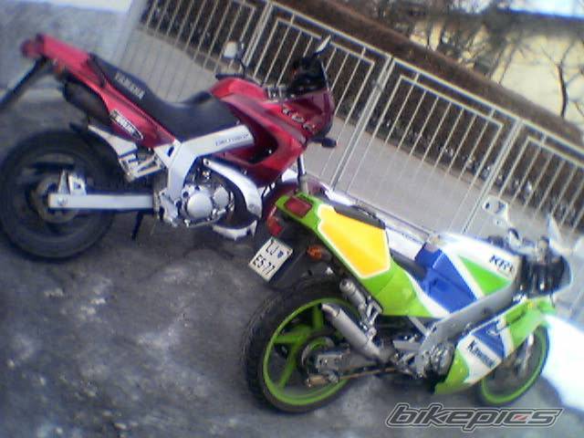 Bike Photo 59504