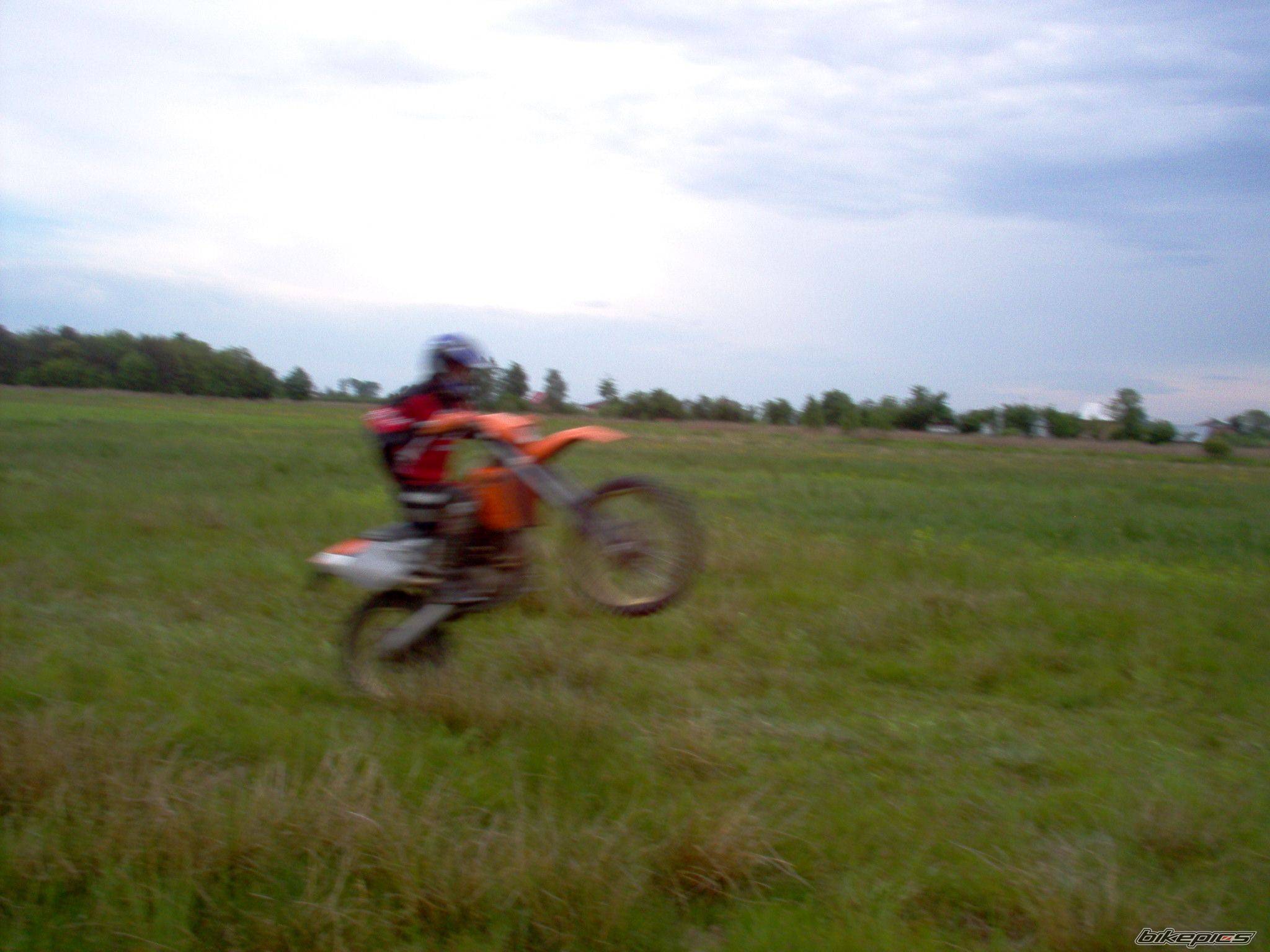 Photo 595129
