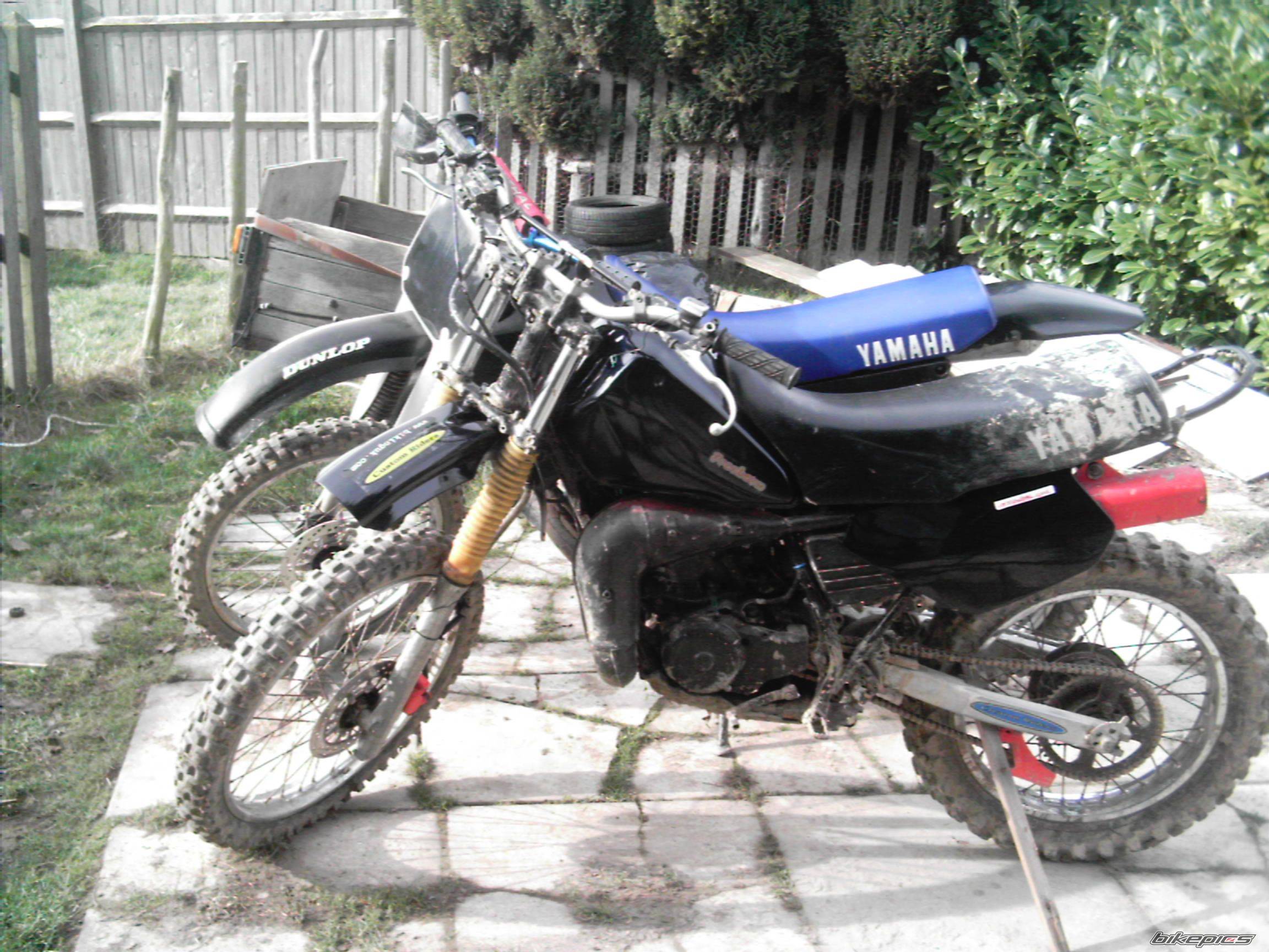 Bike Photo 595463