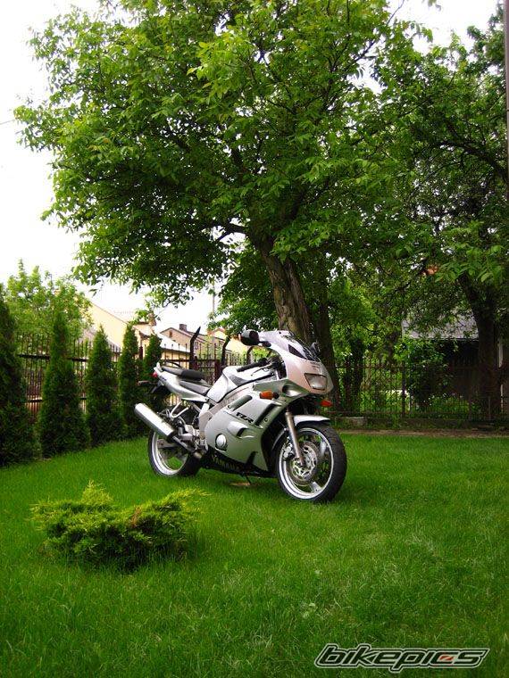 Bike Photo 595531