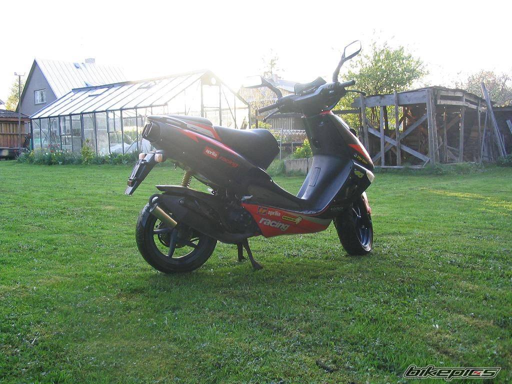 Photo 595755