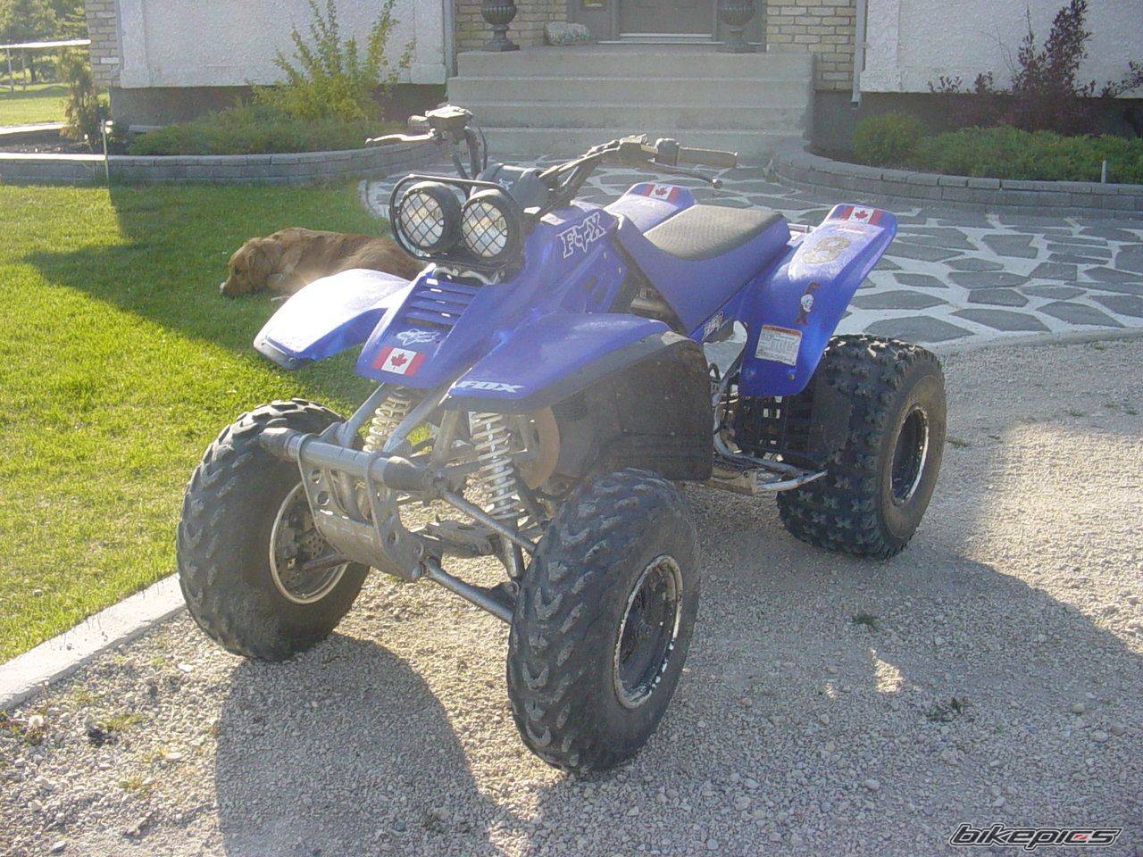 Photo 595877