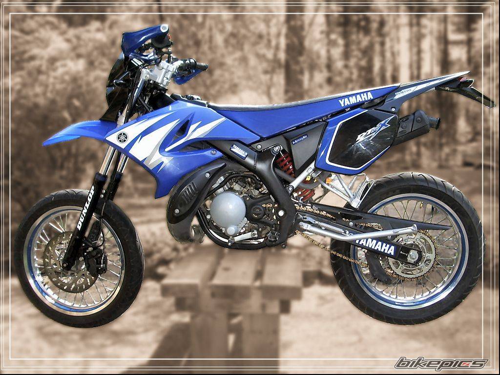 Bike Photo 595986