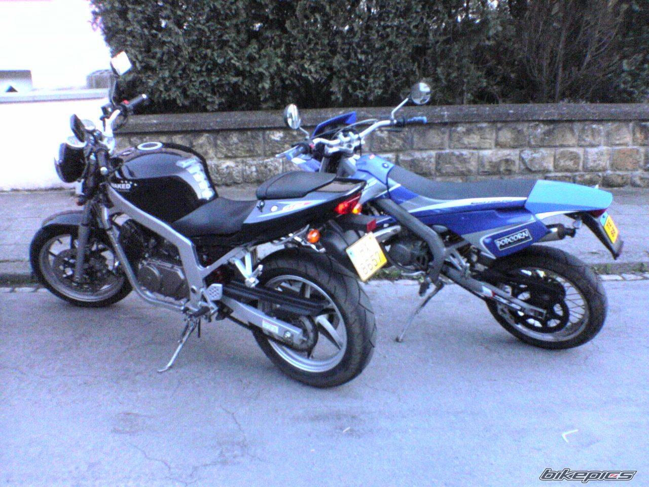 Photo 596124