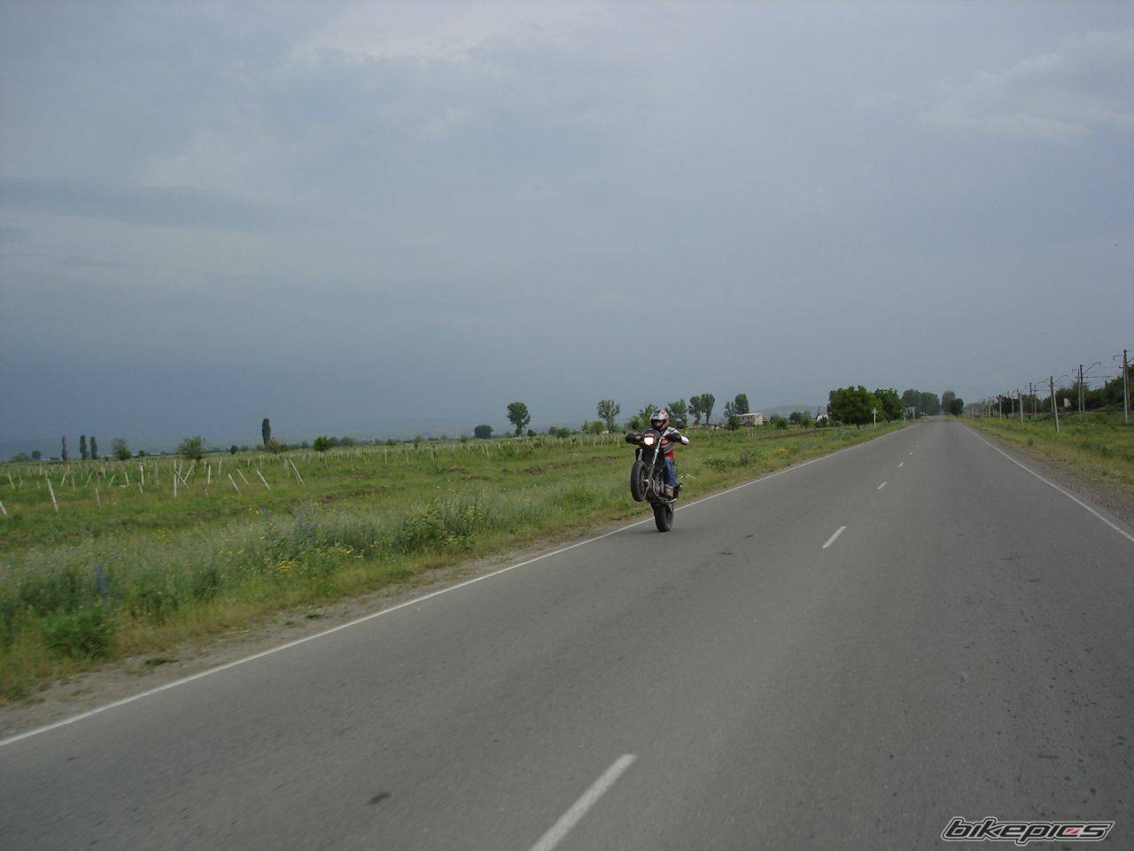 Photo 596429