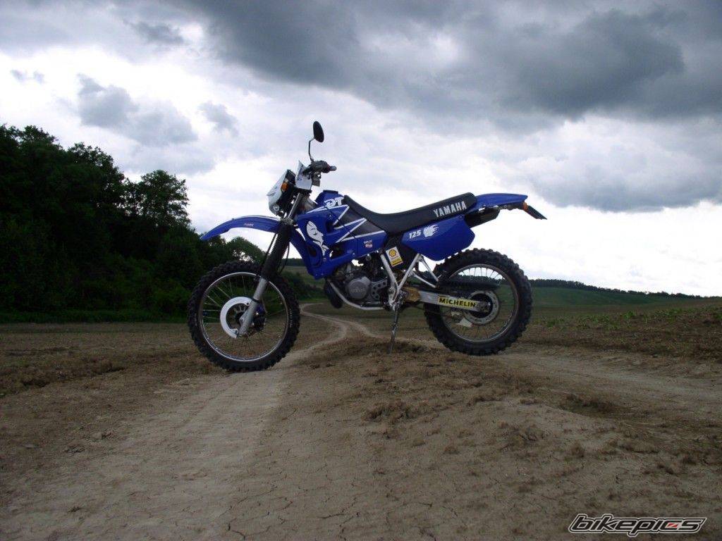 Photo 596533