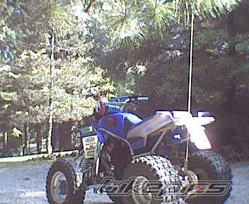 Photo 59654