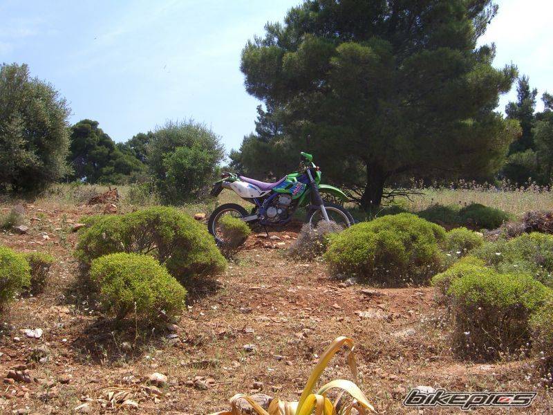 Photo 596879