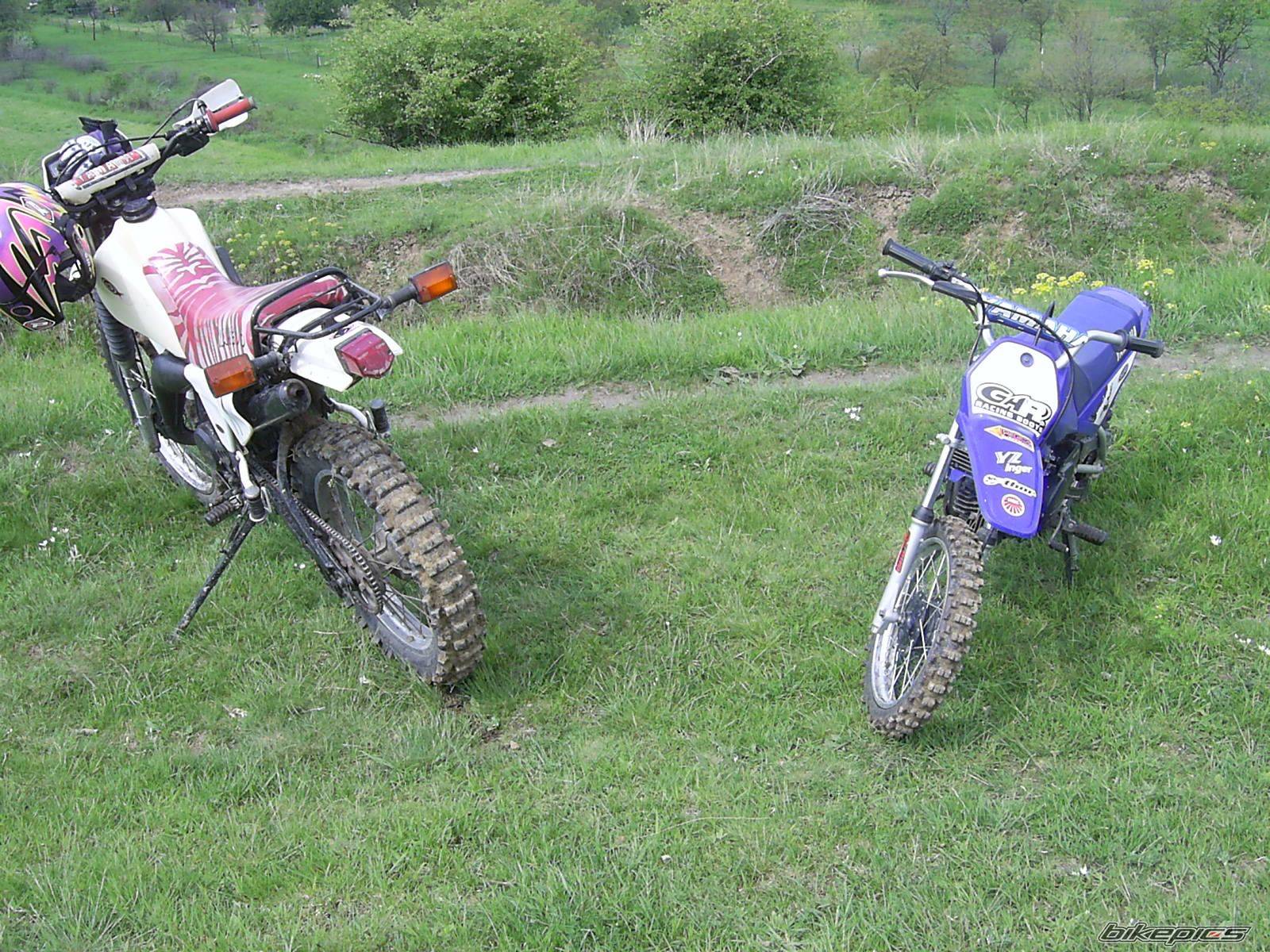 Photo 597323