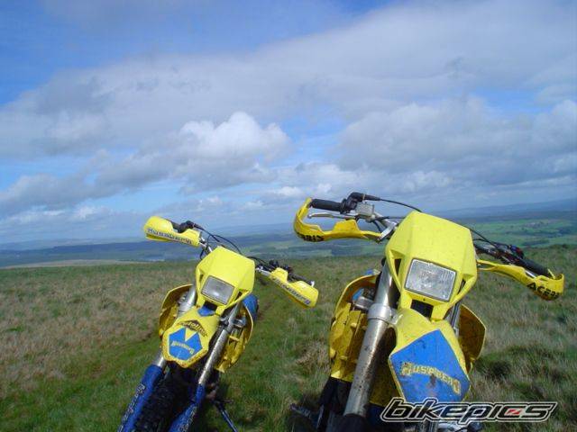 Photo 597425