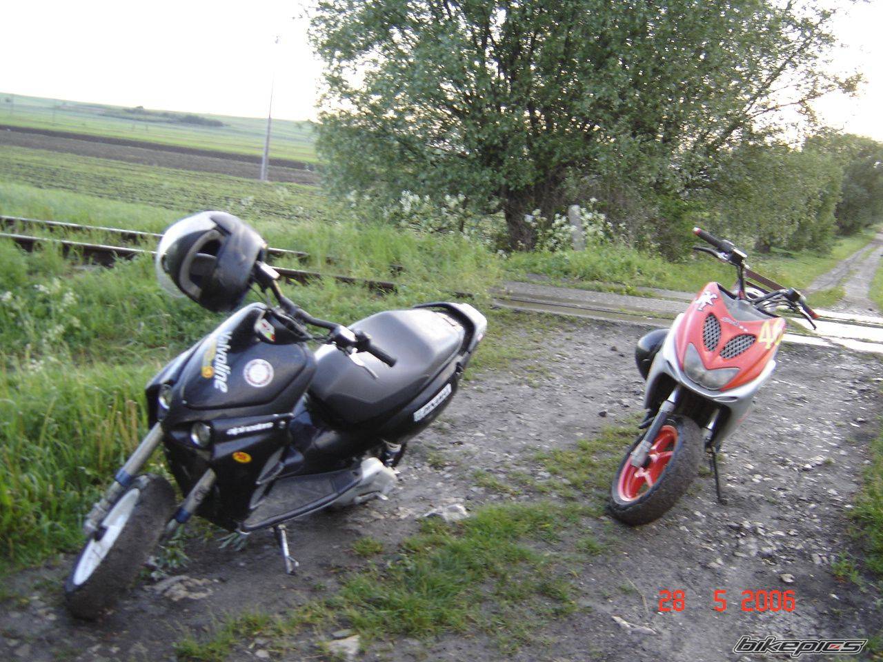 Photo 597483