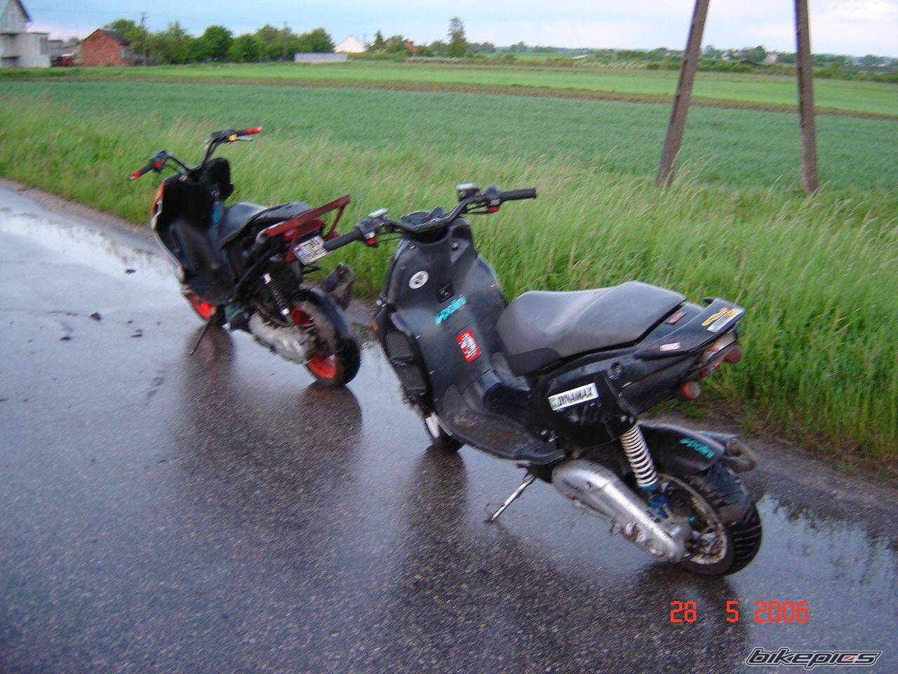 Photo 597486