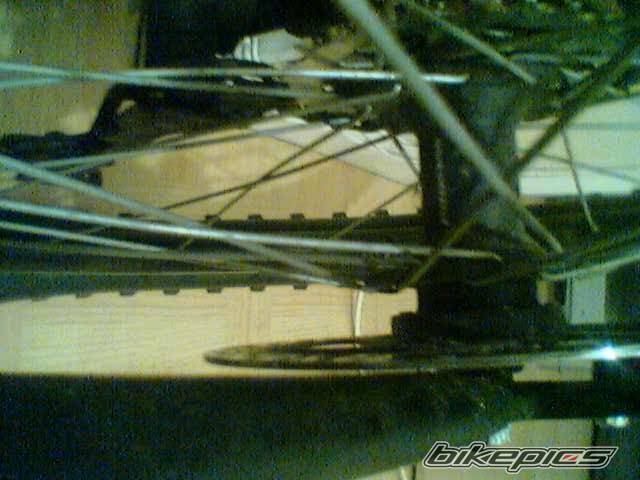Photo 597665