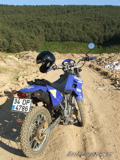 Photo 597764