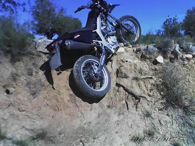 Bike Photo 597771