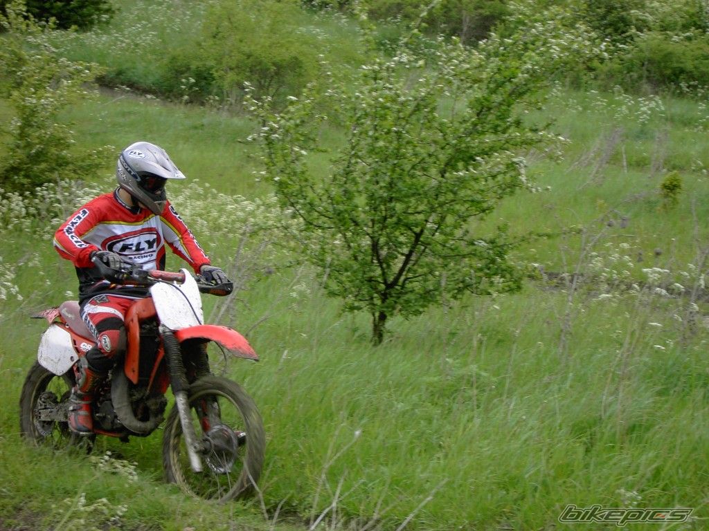 Bike Photo 597854