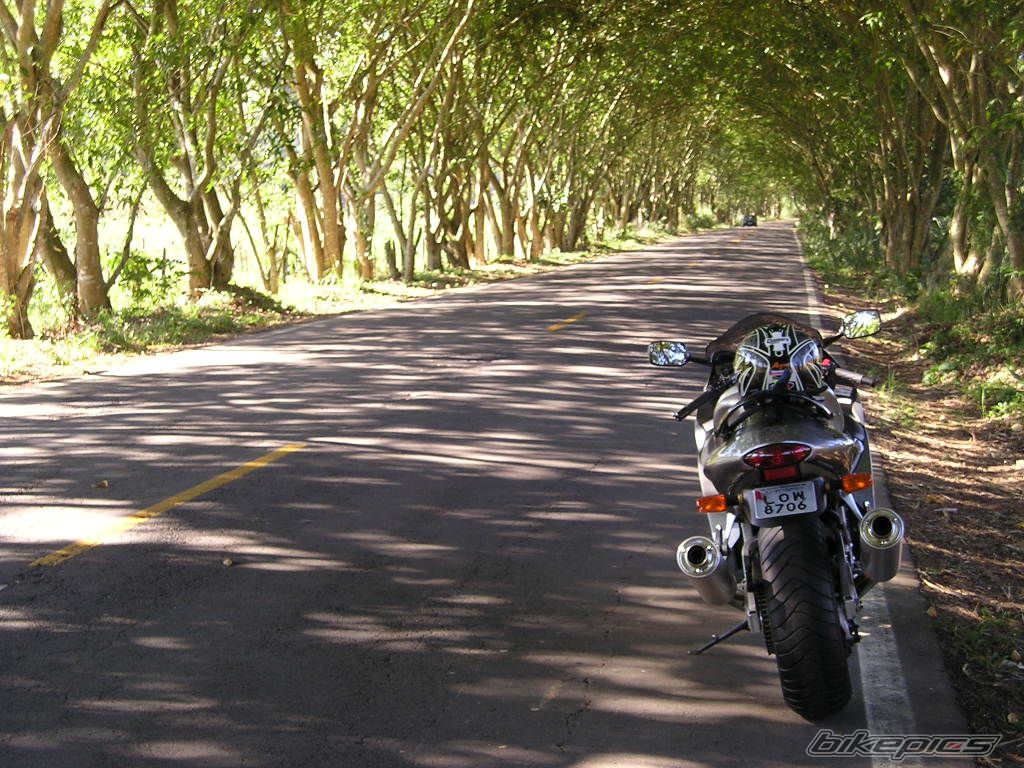 Bike Photo 598166