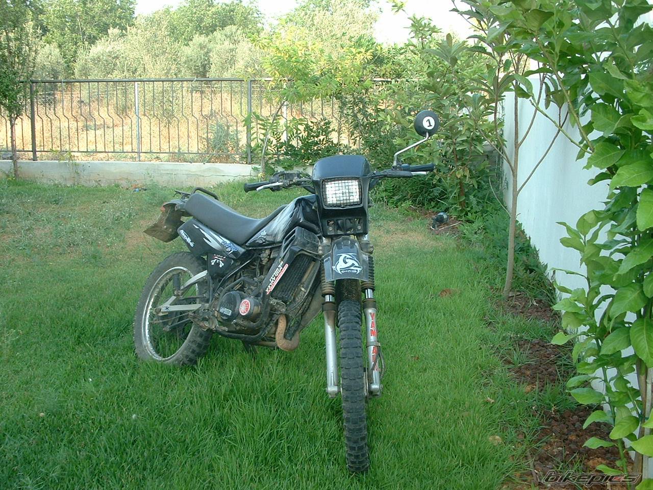 Bike Photo 59830