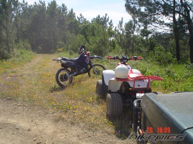 Bike Photo 598363