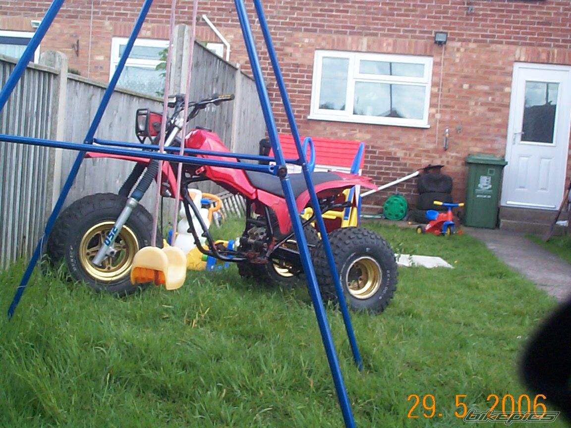 Photo 598384
