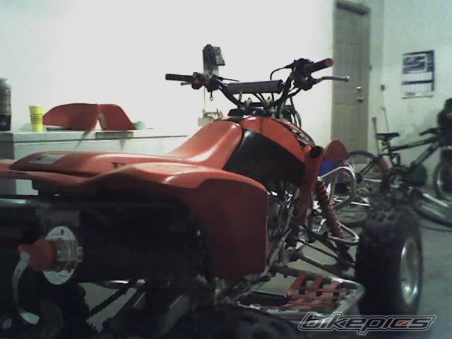 Photo 598401