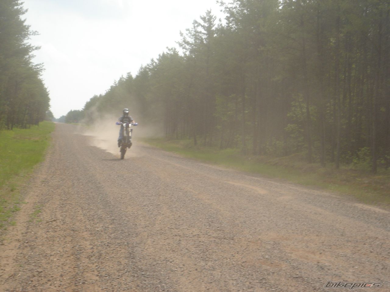 Photo 598411