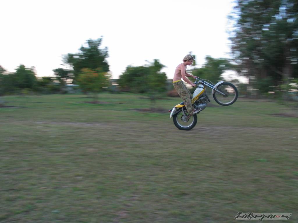 Photo 59850
