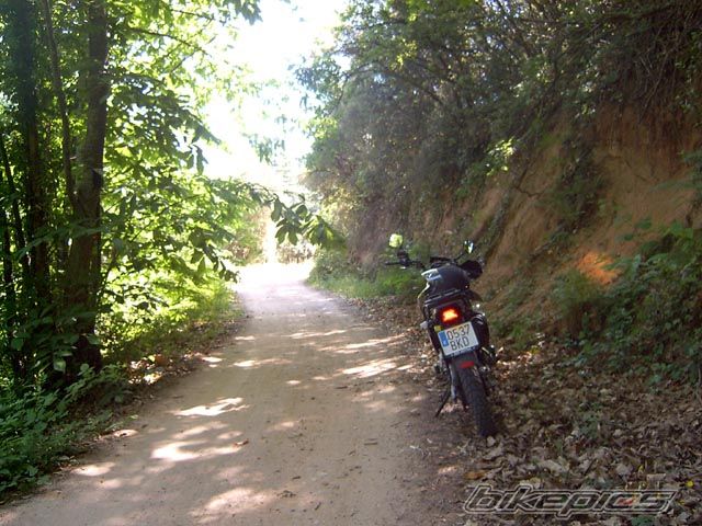Bike Photo 598531