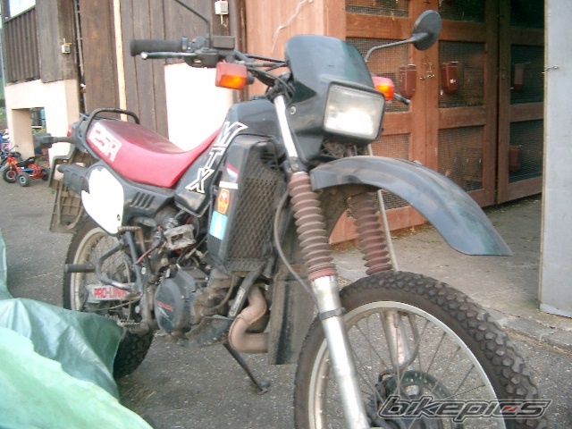 Photo 598533