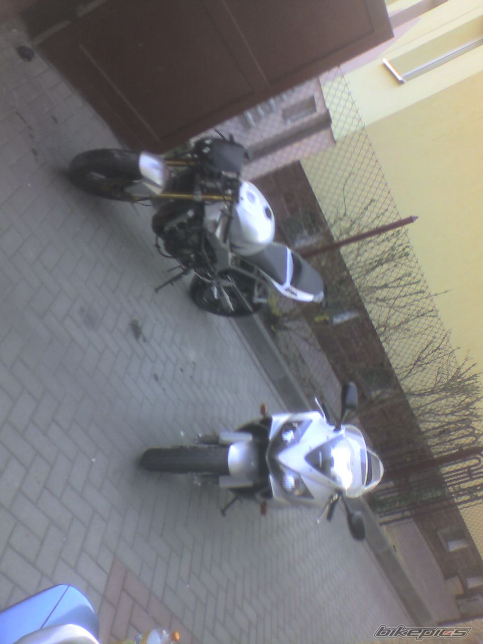 Photo 599146