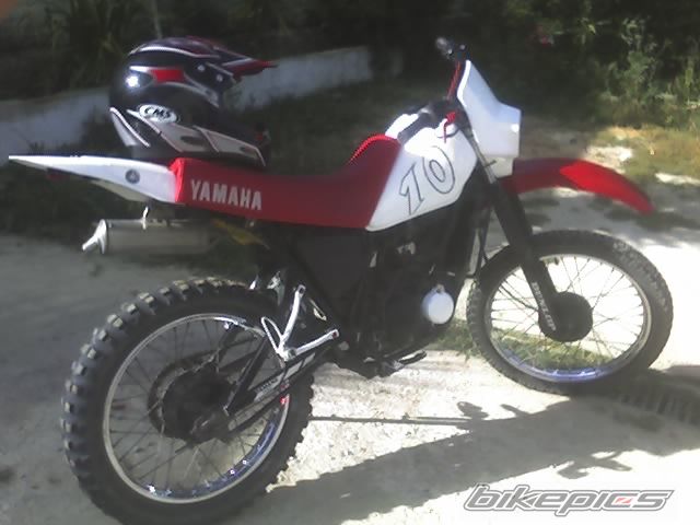 Bike Photo 599184
