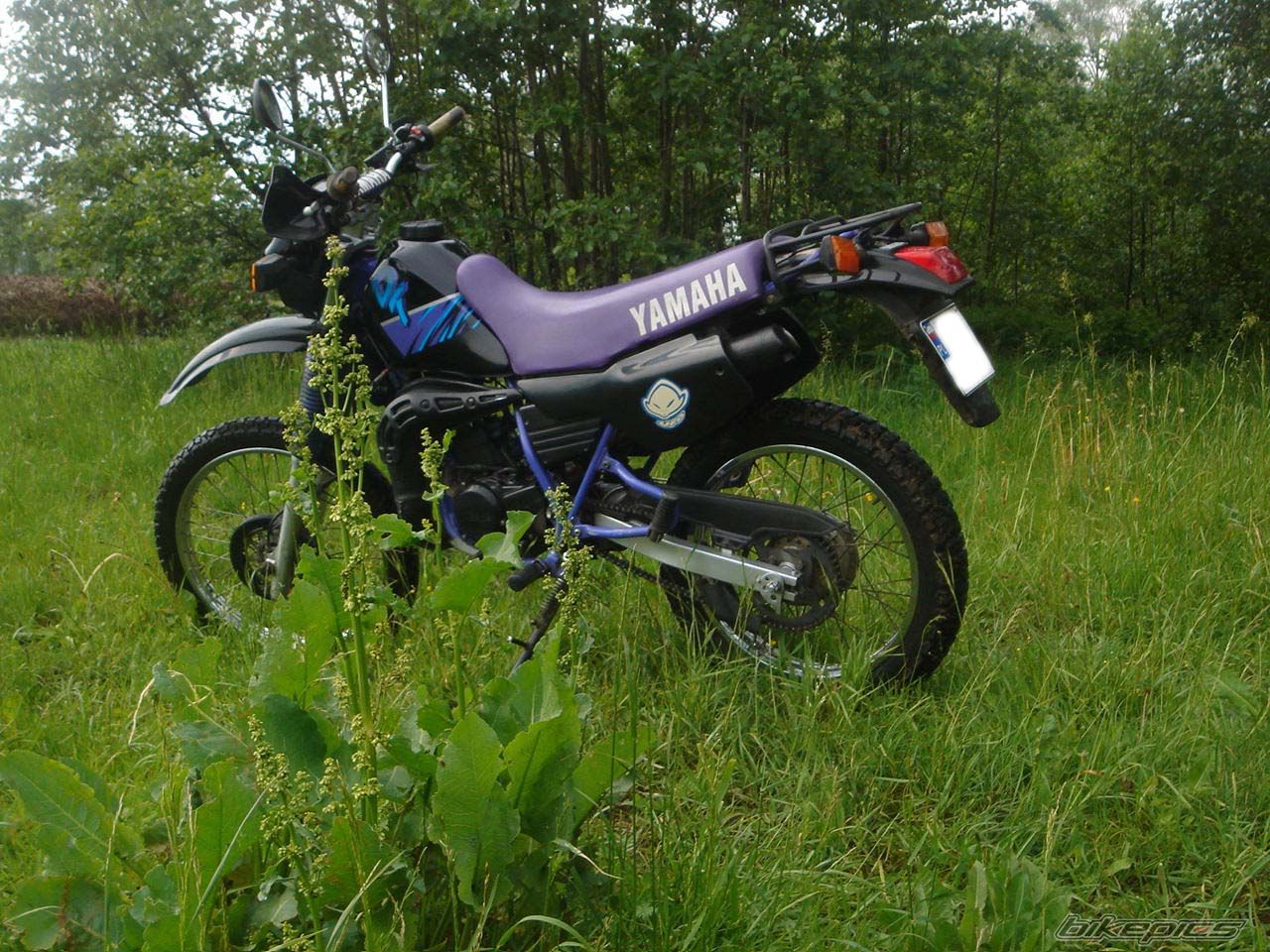 Bike Photo 599429