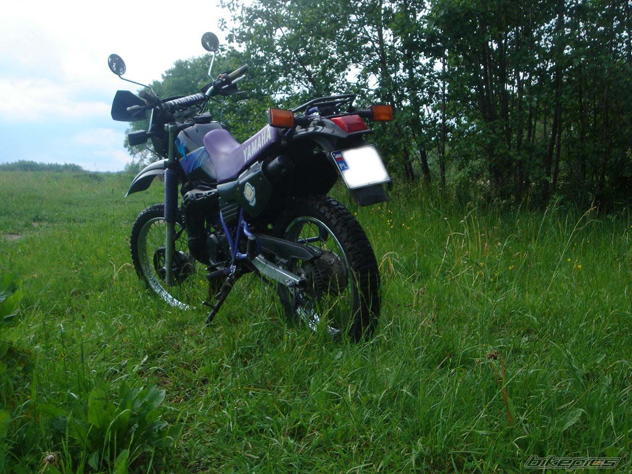 Bike Photo 599430