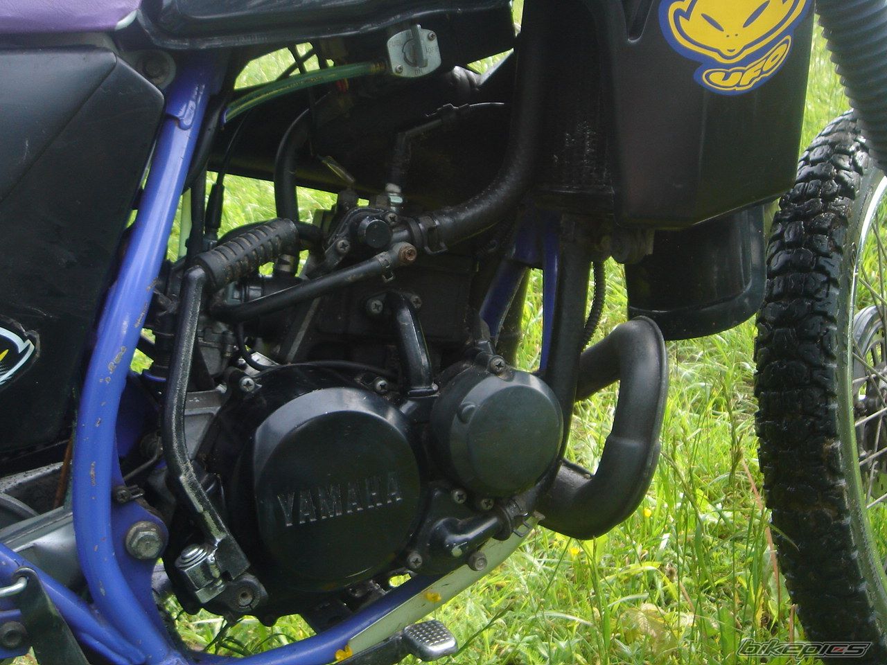 Bike Photo 599435