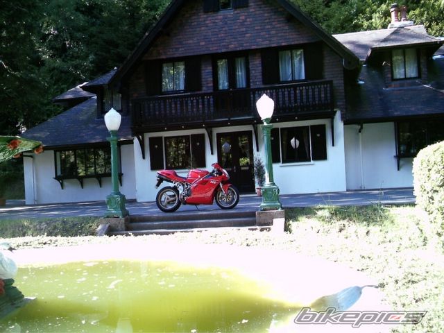 Photo 599469