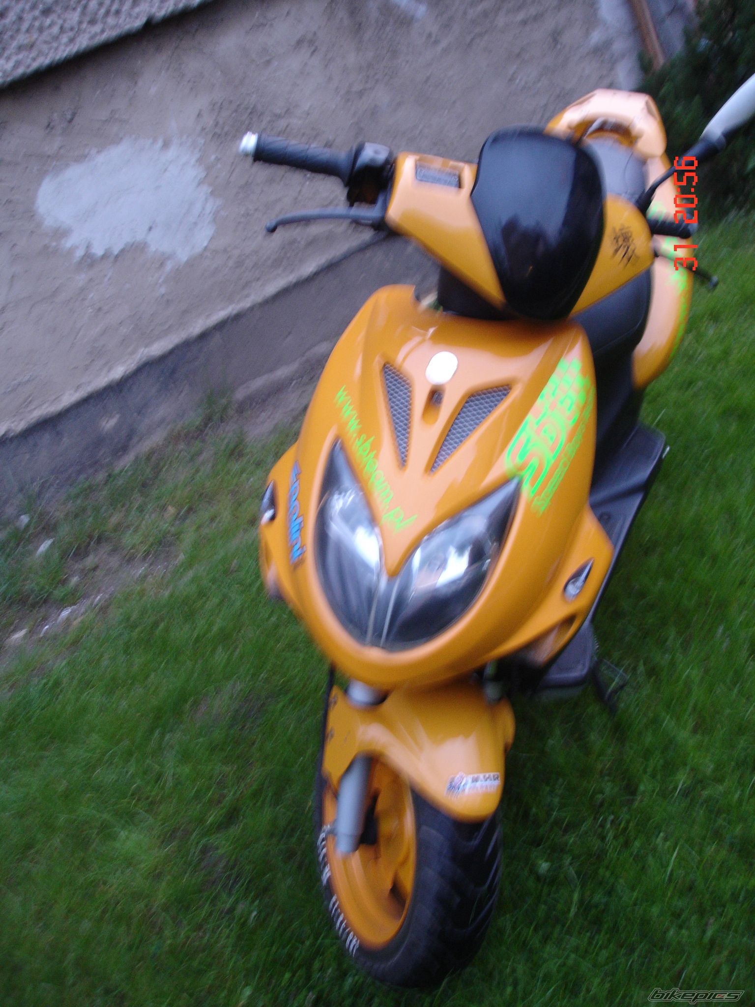 Photo 599659