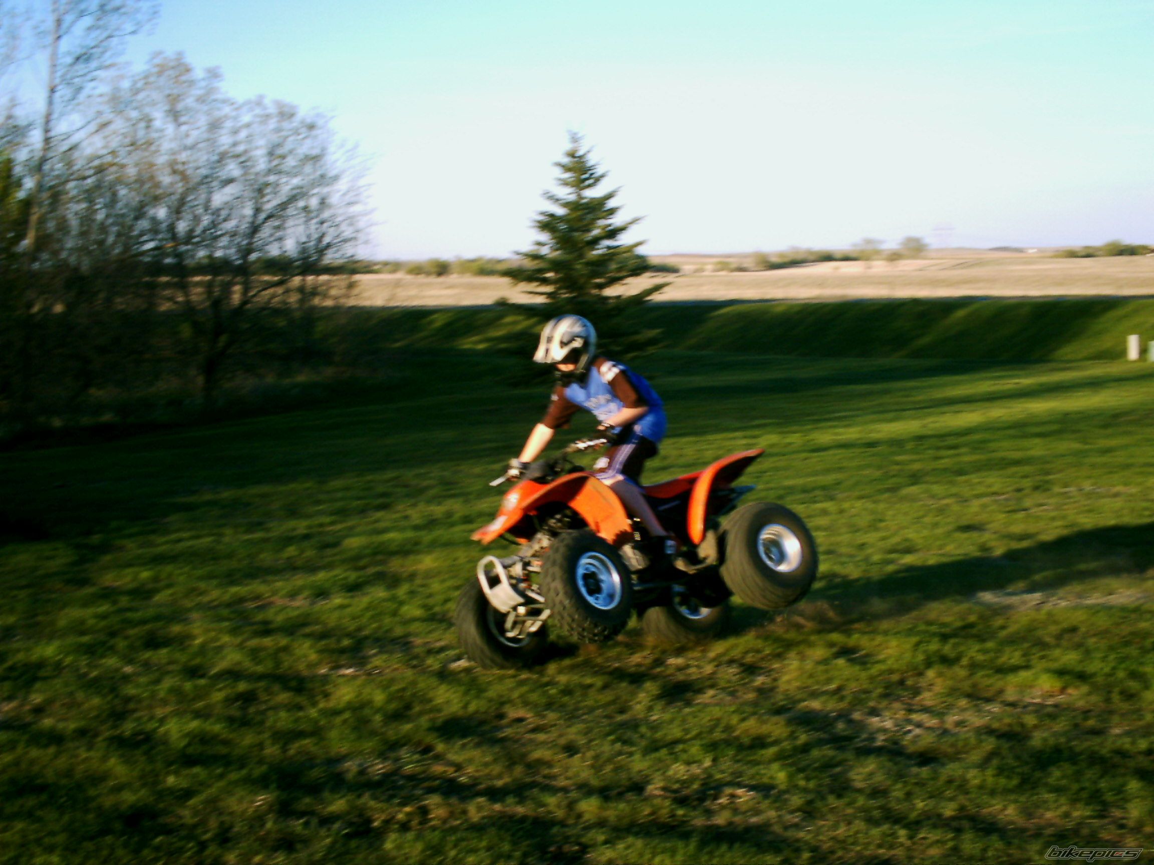 Photo 599779