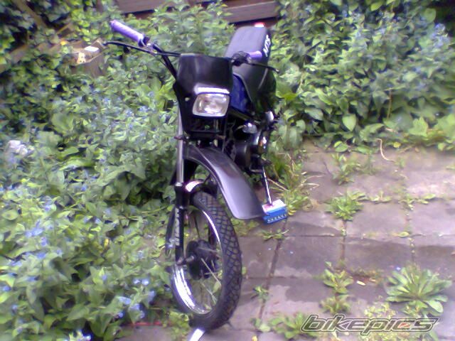 Photo 599873