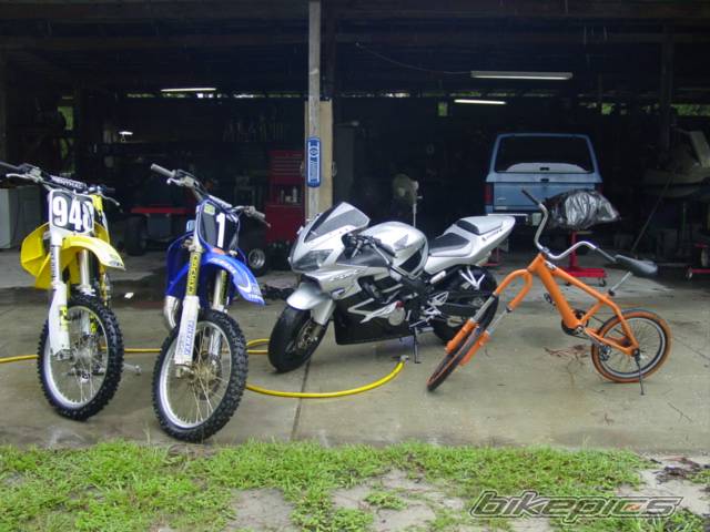 Photo 59990