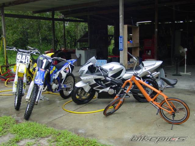 Photo 59991