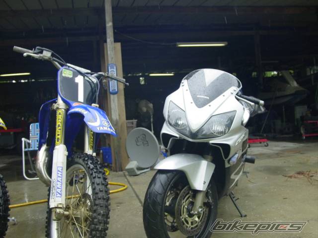 Photo 59993