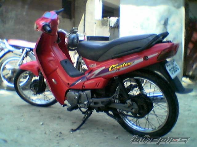 Photo 599965