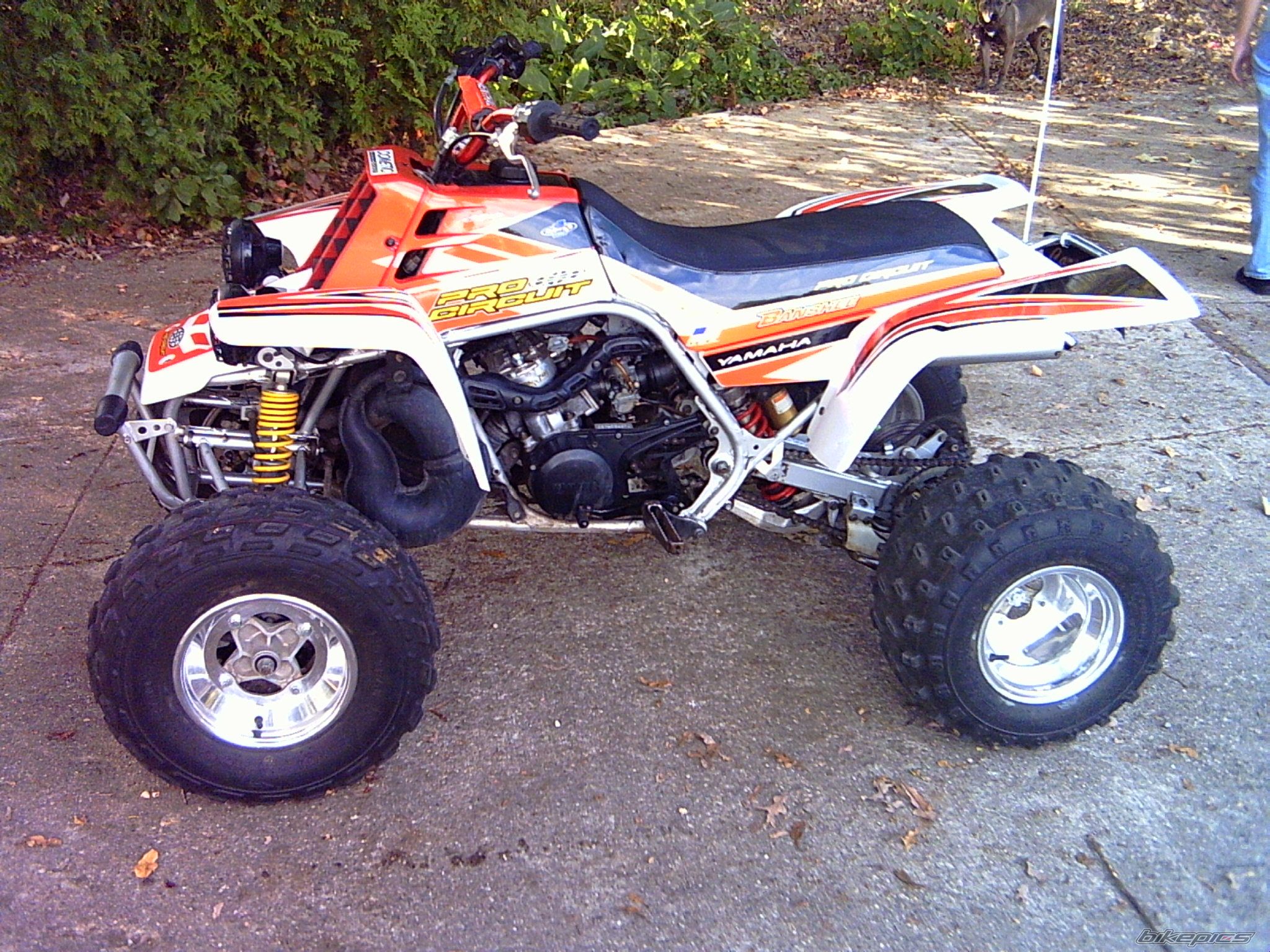 Photo 600001